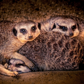 Martin Cregg - Advanced Level, Open Category