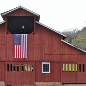 Phyllis Tatum - Entry Level, Open Category