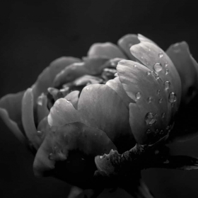 Jo Fields - Advanced Level, Monthly Theme (Water _____)