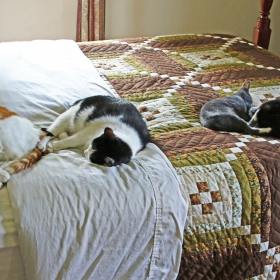 Doug Almy - Calm (1st Place)