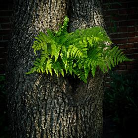 Rick Borchert - Calm (2nd Place)