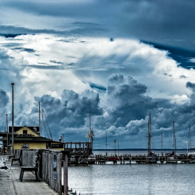 Nancy Jewett  - Nature (1st Place)