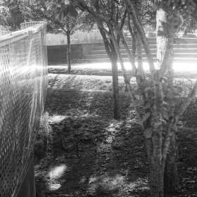 Marjorie-Pess-Light-Jt.-2nd-Place