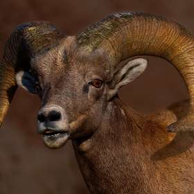 Tim-Lumley-Open-2nd-Place