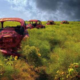 Bill-Scott-Open-1st-Place