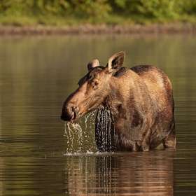 Tim-Lumley-Open-2nd-Place