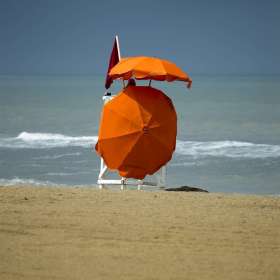 Vince-Pescio-Work-Jt-2nd-Place