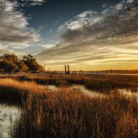 Open-1st-Place-Al-Wood