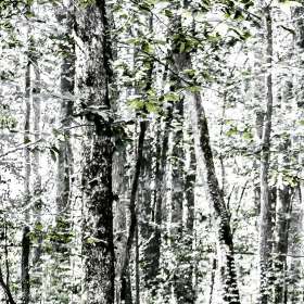 Betty-Cowart-Open-2nd-Place