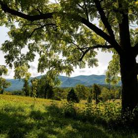 Diane-Burgett-Earth-2nd-place