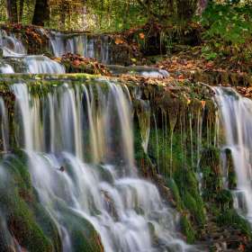 Diane-Burgett-Motion-Jt-2nd-Place