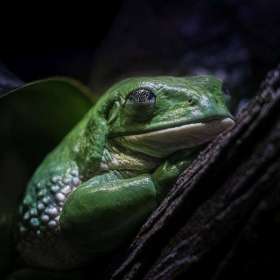 Ken-Langley-Stillness-Jt-2nd-Place