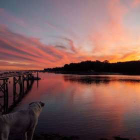 Lopis-Frost-Stillness-1st-Place