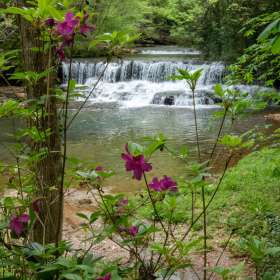 Lois-Frost-Falls-Mill-Outing