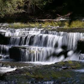 Diane-Burgett-Old-Stone-Fort-State-Archaeological-Park-Outing-2