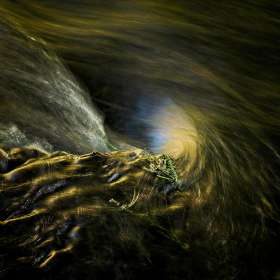 Rick-Borchert-Old-Stone-Fort-State-Park-Outing-2