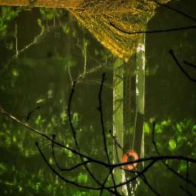 Rick-Wise-Old-Stone-Fort-Falls-Outing