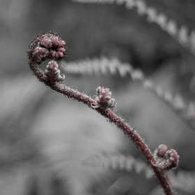 Betty-Cowert-Unique-1st-Place