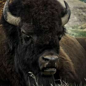 Lyle-Taylor-Open-2nd-Place-August