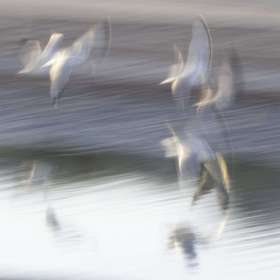 Barry Sokol - Arches (2nd Place, Tie)