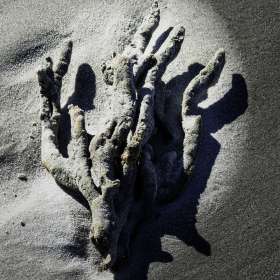 Barry Sokol - Fragile (2nd Place, Tie)