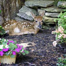 Lyle-Taylor-Visitors-1st-place-tie