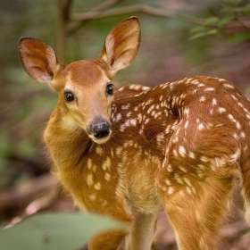 Martin Cregg - Open (2nd Place)