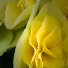 Walt-Viney-Open-1st-Place