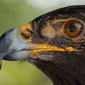 ElizabethStead-GalleryWall-318