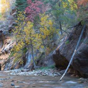 Scott-Oberle-Open-Jt-2nd-Place-October