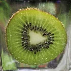 Lyle-Taylor-Fruit-2nd-Place-September