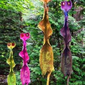 2021 POTY Candidates