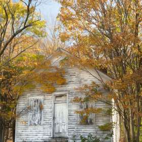 2021-POTY-Candidate-12