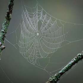 2021-POTY-Candidate-17