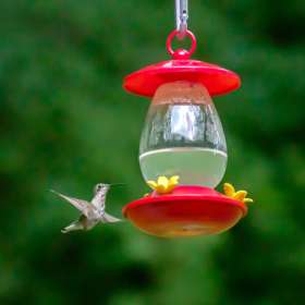 2021-POTY-Candidate-18