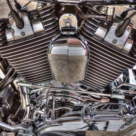 2021-POTY-Candidate-19