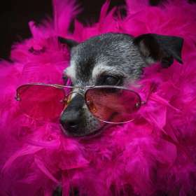 2021-POTY-Candidate-20