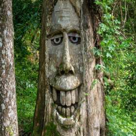 2021-POTY-Candidate-24