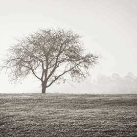 2021-POTY-Candidate-26