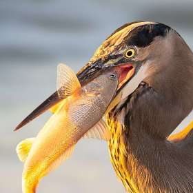 2021-POTY-Candidate-33