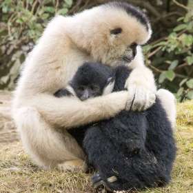 2021-POTY-Candidate-37