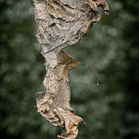 Rick-Borchert-Nashville-Zoo-Outing-1