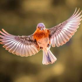 2022 Photo of the Year Finalist - Martin Cregg