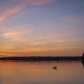 BPG-POTM-0422-Open-01