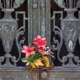 BPG-POTM-0422-Open-07