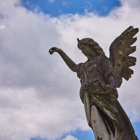 Tony-Willett-Graceful-1st-Place-April