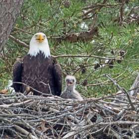 BPG-POTM-0822-Open-04