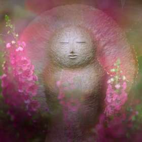 BPG-POTM-0822-Open-05