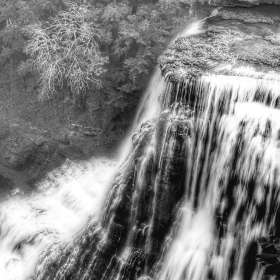 BPG-POTM-0822-Open-08