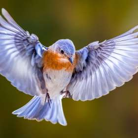 BPG-POTM-0822-Open-09